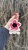 IMG_2453.jpeg