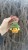 IMG_2566.jpeg