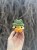 IMG_2568.jpeg