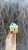 IMG_2561.jpeg