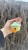 IMG_2559.jpeg