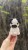 IMG_6032.jpeg