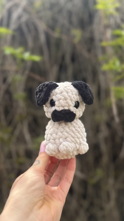 IMG_6032.jpeg