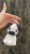 IMG_6035.jpeg