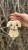 IMG_5558.jpeg