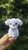 IMG_7051.jpeg