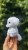 IMG_7053.jpeg