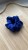 IMG_3404.jpeg