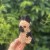 IMG_7317.jpeg