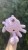 IMG_7695.jpeg