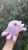 IMG_7701.jpeg