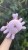 IMG_7703.jpeg