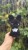 IMG_7772.jpeg