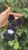 IMG_7773.jpeg