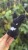 IMG_7774.jpeg
