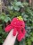 IMG_8001.jpeg