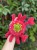 IMG_8003.jpeg