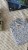IMG_9725.jpeg